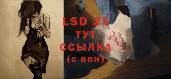 spice Аркадак