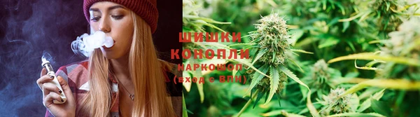 spice Аркадак