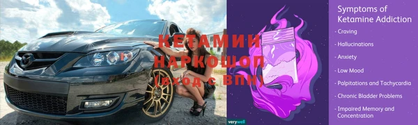 spice Аркадак