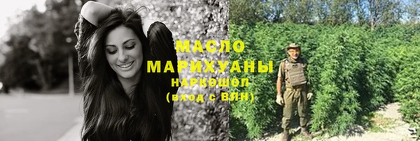 молекула духа Михайловск