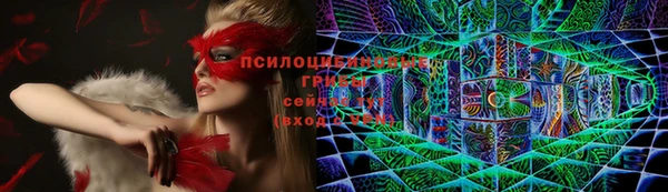 spice Аркадак