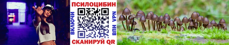 Псилоцибиновые грибы Cubensis  hydra   Пошехонье  даркнет сайт 